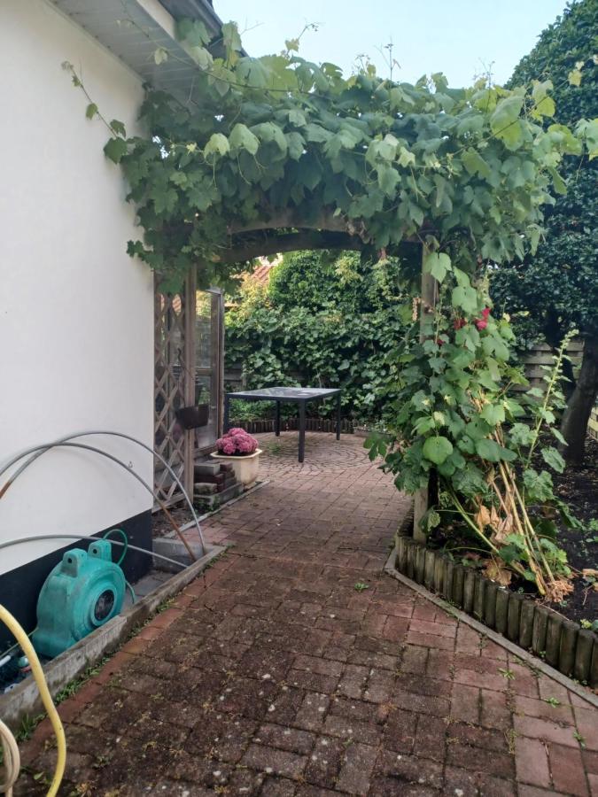 Villa Elsjes Droom コクセッド エクステリア 写真